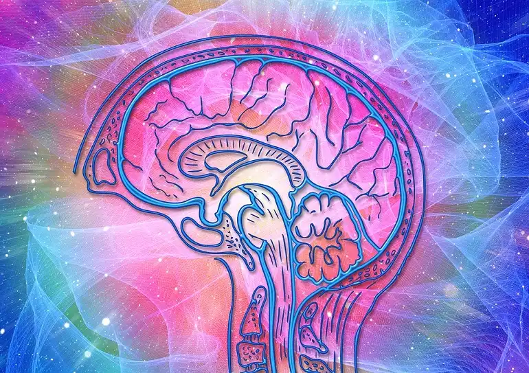 Human Growth Hormone Deficiency In Adults